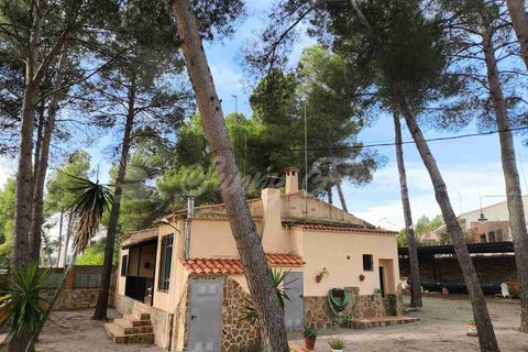Landejendom i Almansa, Albacete, Almansa - € 235.000 | Ref: SF0548 - foto 19